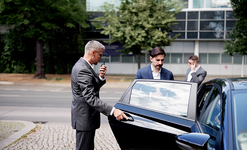 exec-protect-stand-alone residential property consultation